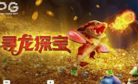 壹号app官网版2024最新版